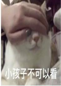 圈养蔷薇gl免费阅读全文最新章节