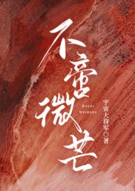 不啻微芒拼音