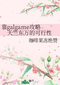 靠galaGame攻略天竺的可能性txt