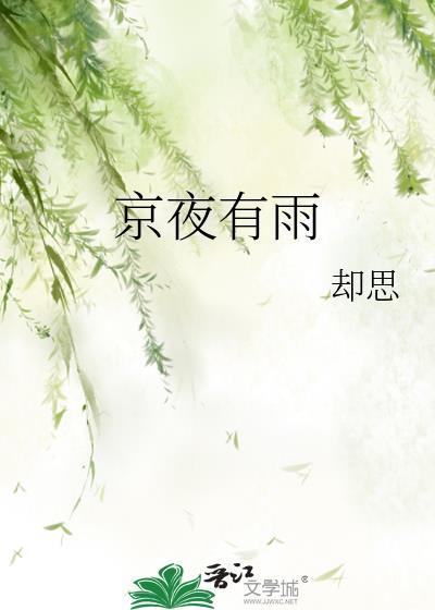 京夜有雨txt百度