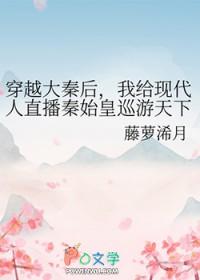 穿越大秦后所有人直播视频