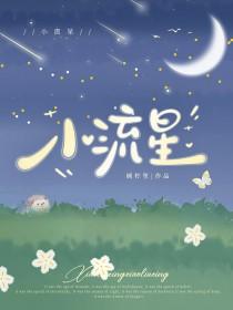小流星是哪部电视剧