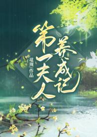 第一夫人话本