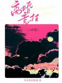 离婚竞拍txt免费阅读