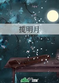 揽明月简介