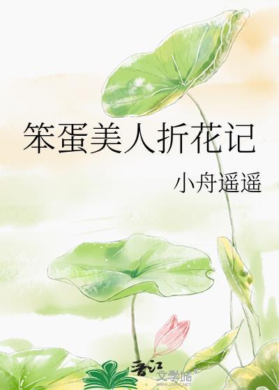 笨蛋美人折花记网