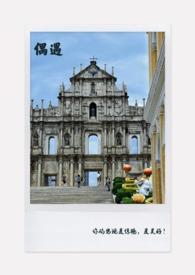 偶遇与想象