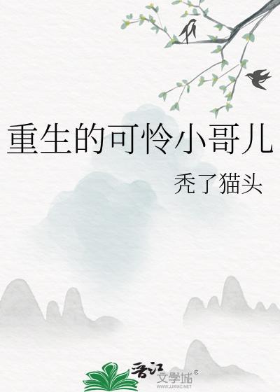 重生的可怜小哥儿番外