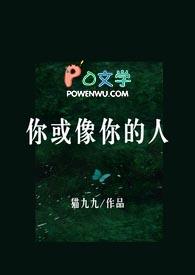 你或像你的人by明开夜合免费阅读全文