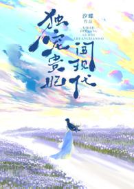 独宠贵女飞翼