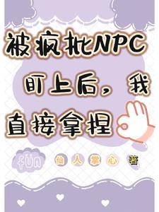 被npc头子看上后我炸了系统百度