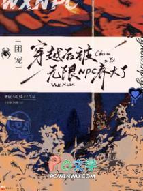 团宠穿越后被无限NPC养大了攻是谁