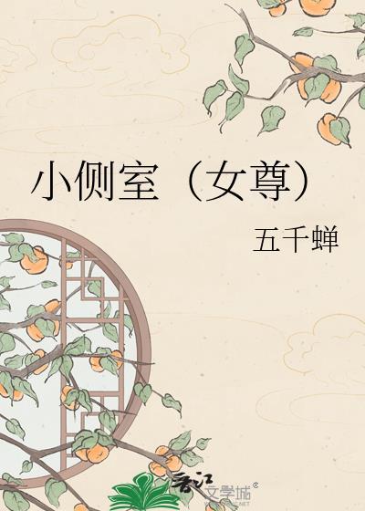 侧室是小老婆的意思吗