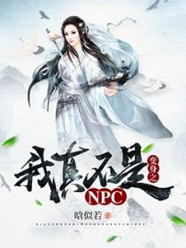 我真不是npc无弹窗