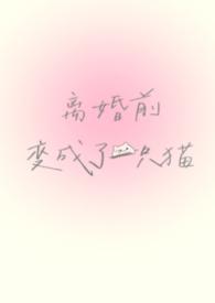 离婚前变成了一只猫免费阅读全文无