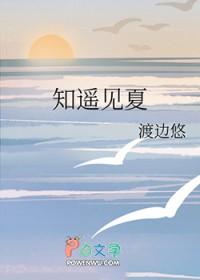 知遥见夏作者渡边悠