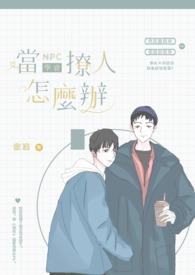 夲NPC