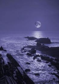 暗夜作品