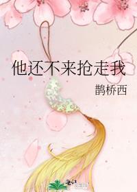 他还不来抢走我带番外TXT