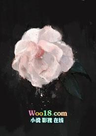 女排澳门总决赛