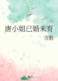 唐小姐已婚未育百度txt