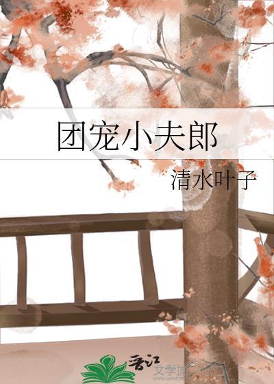 团宠小夫郎txt番外