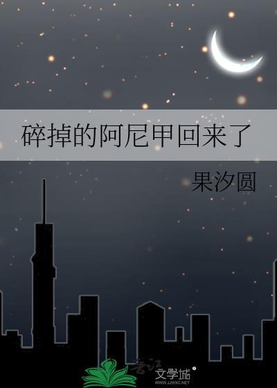 碎掉的阿尼甲回来了免费阅读