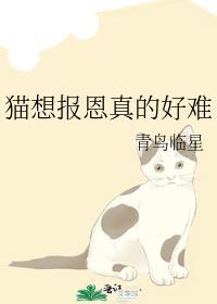 失控晋江