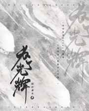 为了光辉by隔岸观火
