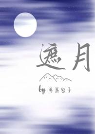遮月全文txt