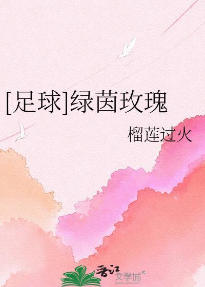 足球绿茵玫瑰卡卡txt