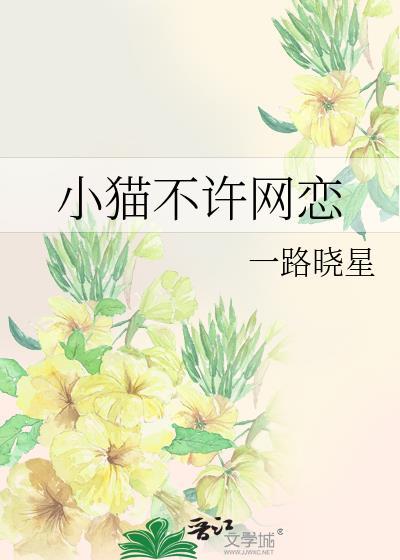 猫咪不恋家怎么办