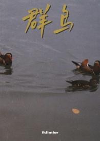 群鸟养羞