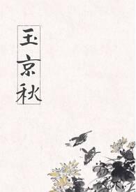 玉京秋 颂南