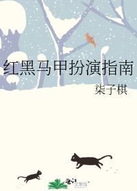 红马甲是什么