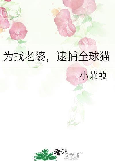 为找老婆逮捕全球猫番外
