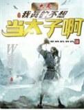 穿越大秦我也不想变强
