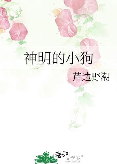 神明的宠儿全文免费阅读晋江