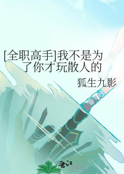 全职高手我只是个帮忙的
