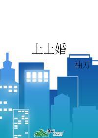 上上婚by袖刀晋江