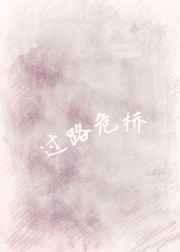 过路危桥免费阅读