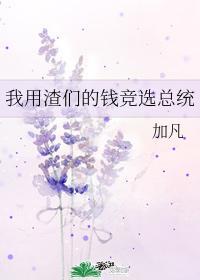我用渣攻们的钱竞选总统