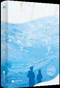 撞进夏日晚风下一句