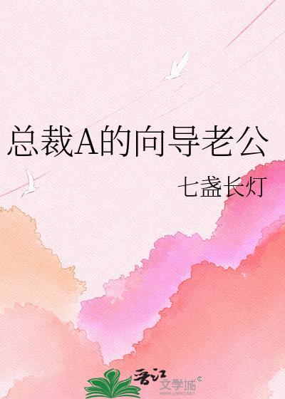 总裁老公ao制