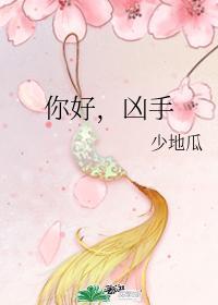 你好凶手txt