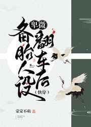 卑微备胎人设翻车后TXT百度