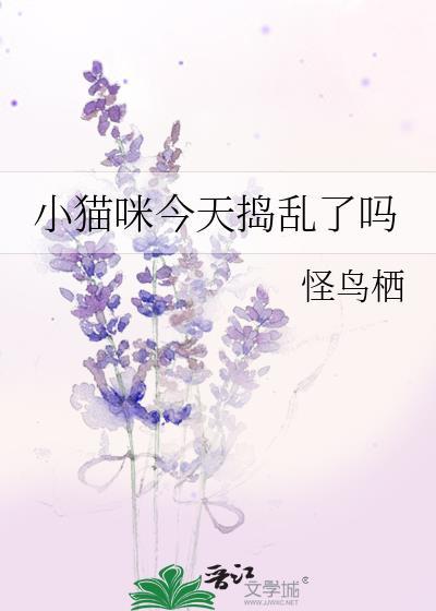 小猫咪捣蛋