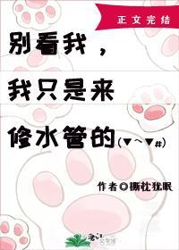 我只是来修水管的全文