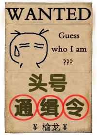 头号通缉