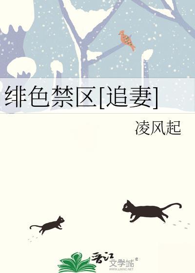 绯色禁区追妻百度